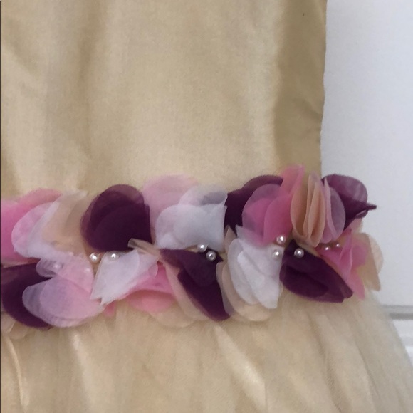 NWT. A-line floor length flower girl dress - Picture 4 of 7